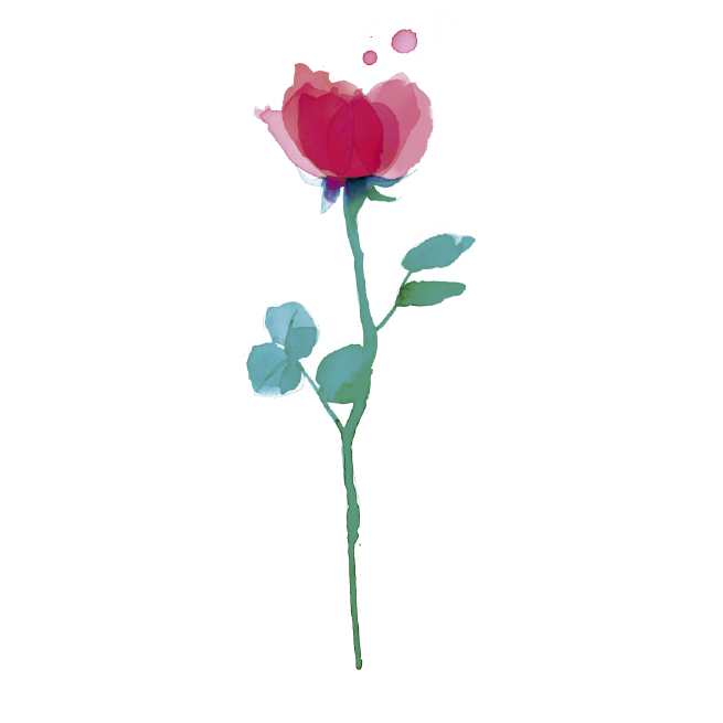 ROSE (Pack de 2)-1