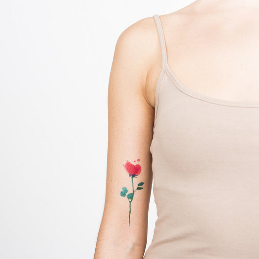 ROSE (Pack de 2)-0